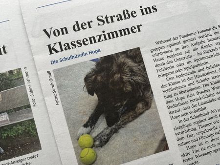Titelbild