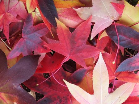 Herbstferien